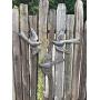 Large Metal Birds, Decorative, Ornamental, Set of 3, Wall Hanging, Handmade in Haiti, Garden Decorations 11 x 12 Inches