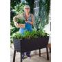 Keter Easy 31.7 Gallon Raised Garden Bed with Self Watering Planter Box and Drainage Plug-Perfect for Growing Fresh Vegetables, Flowers and Herbs, Graphite