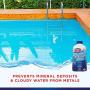 HTH 67024 Metal & Stain Defense Swimming Pool Clarifier, 1 qt