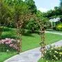Kinbor Metal Arch Trellis Black Metal Arbor Garden Arbors and Arches for Climbing Plants Kinbor Metal Arch Trellis Black Metal Arbor Garden Arbors and Arches for Climbing Plants