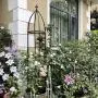 Garden Arch Tredllis for Climbing Plants Rose Thicken Metal Wedding Arches Arbor Ceremony Party Outdoor Floral Decor Bronze Garden Arch Tredllis for Climbing Plants Rose Thicken Metal Wedding Arches Arbor Ceremony Party Outdoor Floral Decor Bronze