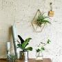 NCYP Rustic Wall Mount Hanging Irregular Pentagon Geometric Metal Tillandsia Air Plants Holder Rack Black Wall Accent Decor (Gold) No Plants