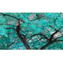 Visual Art Decor XLarge 7 Pieces Canvas Wall Art Teal Green Tree Landscape Black and White Picture Prints Framed and Stretched Painting Wall Decoration for Modern Living Room Office