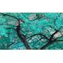Visual Art Decor XLarge 7 Pieces Canvas Wall Art Teal Green Tree Landscape Black and White Picture Prints Framed and Stretched Painting Wall Decoration for Modern Living Room Office Visual Art Decor XLarge 7 Pieces Canvas Wall Art Teal Green Tree Landscape Black and White Picture Prints Framed and Stretched Painting Wall Decoration for Modern Living Room Office
