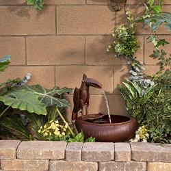 Alpine Corporation Metal Toucan Fountain - Outdoor Water Fountain for Garden, Patio, Deck, Porch - Yard Art Decor