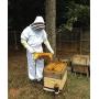 Beekeeping Suit and Bee Family Stickers - XL - YKK Metal Zippers - Men & Women - Total Protection - Self-Supporting Fencing Veil for Beekeepers - Easily Take On & Off - 10 Pockets