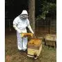 Beekeeping Suit and Bee Family Stickers - XL - YKK Metal Zippers - Men & Women - Total Protection - Self-Supporting Fencing Veil for Beekeepers - Easily Take On & Off - 10 Pockets Beekeeping Suit and Bee Family Stickers - XL - YKK Metal Zippers - Men & Women - Total Protection - Self-Supporting Fencing Veil for Beekeepers - Easily Take On & Off - 10 Pockets