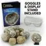 NATIONAL GEOGRAPHIC Break Open 10 Premium Geodes – Includes Goggles, Detailed Learning Guide & 2 Display Stands - Great STEM Science Gift for Mineralogy & Geology Enthusiasts of Any Age NATIONAL GEOGRAPHIC Break Open 10 Premium Geodes – Includes Goggles, Detailed Learning Guide & 2 Display Stands - Great STEM Science Gift for Mineralogy & Geology Enthusiasts of Any Age