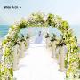 Metal Pergola Arbor,7.5 Feet Wide x 6.4 Feet High or 4.6 Feet Wide x 7.9 Feet High,Assemble Freely 2 Sizes,for Various Climbing Plant Wedding Garden Arch Bridal Party Decoration Wide Arbor
