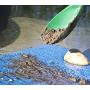 SE Green Prospectors Scoop - GP3-SS22GN