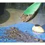 SE Green Prospectors Scoop - GP3-SS22GN SE Green Prospectors Scoop - GP3-SS22GN