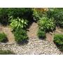 Dimex EasyFlex Aluminum Landscape Edging Project Kit, Will Not Rust Like Steel, Bronze (1806BZ-24C) Dimex EasyFlex Aluminum Landscape Edging Project Kit, Will Not Rust Like Steel, Bronze (1806BZ-24C)