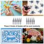 Weeding Tools for Vinyl, JUUMVIR 25 PCS Craft Tools Set Whole Set Vinyl Tools Including Scraper Tool, Scissor, Craft Tweezers, Weeders, Spatula for Weeding Vinyl, Silhouettes, Cameos, Lettering