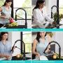 Kraus KPF-1610SFSMB Bolden 18-Inch Commercial Kitchen Faucet with Dual Function Pull-Down Sprayhead in All-Brite Finish, Spot Free Stainless Steel/Matte Black