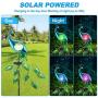 CHINLY Garden Decorations Outdoor, Metal Peacock Decor Solar Garden Lights Stake Waterproof for Patio Yard Pathway (Crystal Lampshade)