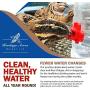 Heritage Acres Market LLC Chicken Watering Nipples - Original Columbus Aqua Design, Horizontal Side Mount Poultry Waterer, Stainless Steel Parts, BPA-Free [Not Chinese] 5 Count