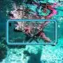 GOLDJU Samsung Galaxy S10 Plus Waterproof Case,S10 Plus Case Built in Screen Protector 360° Full Body Protective Shockproof Dirtproof Sandproof IP68 Underwater Waterproof Case for Samsung S10 Plus 6.4