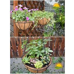 Hanging Planter Flower Basket Metal with Coco Coir Liner 2 Pack 8 Inch Round Wire Plant Growers Holder Flower Hanging Baskets, Indoor Outdoor Décor for Home Garden Patio