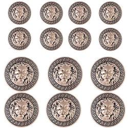 14 Pieces Gold Vintage Antique Metal Blazer Button Set - 3D Lion Head - for Blazer, Suits, Sport Coat, Uniform, Jacket 18mm 23mm