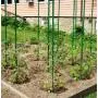 F.O.T Sturdy Metal Garden Stakes 25Pcs Gardening Support 2 Ft Plastic Coated Plant Sticks,Plant Cage Supports Climbing for Tomatoes,Trees,Cucumber,Fences,Beans,Vegetable Trellis(Climbing Frame)