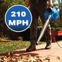 Vacmaster VBV1210, 12-Gallon 5 Peak HP Wet/Dry Shop Vacuum with Detachable Blower, Blue