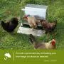 Automatic Chicken Feeder - Sturdy Galvanized Steel Poultry Feeders with Weatherproof Cover Standard Size for 6-12 Chickens 10 Days (20lb Feed) Automatic Chicken Feeder - Sturdy Galvanized Steel Poultry Feeders with Weatherproof Cover Standard Size for 6-12 Chickens 10 Days (20lb Feed)
