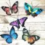 VOKPROOF Metal Butterfly Wall Decor - Set of 5 Butterflies Art Decorations for Outdoor Garden,Patio,Fence VOKPROOF Metal Butterfly Wall Decor - Set of 5 Butterflies Art Decorations for Outdoor Garden,Patio,Fence