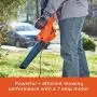 BLACK+DECKER Electric Leaf Blower, 7-Amp (LB700) BLACK+DECKER Electric Leaf Blower, 7-Amp (LB700)