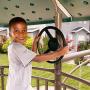 Lifetime Adventure Tower Swing Set - Earthtone (290633)