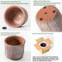 DOMDO Cement Planter Pot - 5.5 Inch Indoor Concrete Planters Bonsai Container with Drainage Hole for Home Decor, Iron-Imitation Patterned, Terracotta