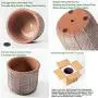 DOMDO Cement Planter Pot - 5.5 Inch Indoor Concrete Planters Bonsai Container with Drainage Hole for Home Decor, Iron-Imitation Patterned, Terracotta DOMDO Cement Planter Pot - 5.5 Inch Indoor Concrete Planters Bonsai Container with Drainage Hole for Home Decor, Iron-Imitation Patterned, Terracotta