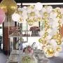 DIY Balloon Arch & Garland kit,138Pcs Party Balloons Decoration Set, Gold Confetti & Silver & White & Transparent Balloons for Bridal & Baby Shower, Wedding, Birthday, Graduation, Anniversary Party DIY Balloon Arch & Garland kit,138Pcs Party Balloons Decoration Set, Gold Confetti & Silver & White & Transparent Balloons for Bridal & Baby Shower, Wedding, Birthday, Graduation, Anniversary Party