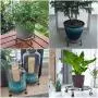 Yimobra 2 Pack Plant Stand for Flower Pot Heavy Duty Potted Holder Indoor Outdoor Metal Rustproof Iron Garden Container Round Supports Rack for Planter Bronze, Brown,11.8 Inches Yimobra 2 Pack Plant Stand for Flower Pot Heavy Duty Potted Holder Indoor Outdoor Metal Rustproof Iron Garden Container Round Supports Rack for Planter Bronze, Brown,11.8 Inches