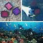 SOONSUN 3 Pack Dive Filter for GoPro Hero 5 6 7 Black Super Suit Dive Housing - Red,Light Red and Magenta Filter - Enhances Colors for Various Underwater Video and Photography Conditions