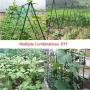 F.O.T Sturdy Metal Garden Stakes 25Pcs Gardening Support 2 Ft Plastic Coated Plant Sticks,Plant Cage Supports Climbing for Tomatoes,Trees,Cucumber,Fences,Beans,Vegetable Trellis(Climbing Frame)