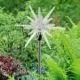 Exhart Solar Star Garden Light Stake – Crystal Star Metal Garden Stake w/Solar Panel, Acrylic Outdoor Crystal Décor, Garden Décor, Crystal Star Stake – Led Accent Lights for Yard/Garden/Patio 6 x 6 x Exhart Solar Star Garden Light Stake – Crystal Star Metal Garden Stake w/Solar Panel, Acrylic Outdoor Crystal Décor, Garden Décor, Crystal Star Stake – Led Accent Lights for Yard/Garden/Patio 6 x 6 x
