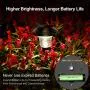 Balhvit Glass Solar Lights Outdoor, 8 Pack Super Bright Solar Pathway Lights, Up to 12 Hrs Long Last Auto On/Off Garden Lights Solar Powered Waterproof, Stainless Steel LED Landscape Lighting for Yard