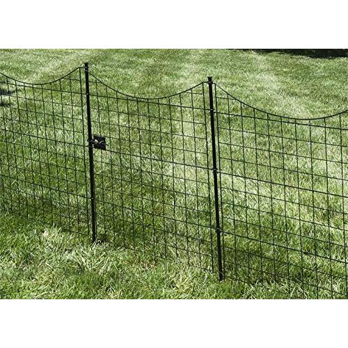 Zippity Outdoor Products WF29012 Black Metal Gate, 41''