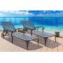 HOMEFUN Chaise Outdoor Aluminum Wheels Lounges Chair Adjustable Reclining Patio Furniture Set, Pack of 2 (Antique Bronze), 2PC