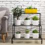 3 Tier Decorative Black Metal Plant Stand/Planter Holder/Multi Planter Flower Pot Racks - MyGift