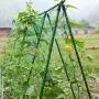 F.O.T Sturdy Metal Garden Stakes 25Pcs Gardening Support 2 Ft Plastic Coated Plant Sticks,Plant Cage Supports Climbing for Tomatoes,Trees,Cucumber,Fences,Beans,Vegetable Trellis(Climbing Frame)