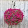 BEAU JARDIN Shepherd Hook 65in Tall 1/2in Thick Hummingbird Bird Feeder Pole Garden Hanging Plant Basket Hanger Pathway Light Solar Lantern Mason Jar Wind Chime Wedding Metal Rust Resistant Heavy Duty