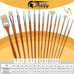 Artify 15 pcs Professional Paint Brush Set Perfect for Oil Painting with a Free Carrying Box