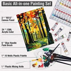 Falling in Art 24 Tubes Acrylic Paint Set with Canvas, Brushes, Palette – 34 Pieces Artist Acrylic Painting Tools Set for Artists, Beginners, Kids