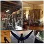 Hammock Hanging Hook Kit, Load Capacity 1400 lb, Stainless Steel Round Mount Pads, Spring Snap Hooks, Lag Screws Set for Hammock Yoga Swing Chair Punching Bag Indoor Outdoor Relaxation Hammock Hanging Hook Kit, Load Capacity 1400 lb, Stainless Steel Round Mount Pads, Spring Snap Hooks, Lag Screws Set for Hammock Yoga Swing Chair Punching Bag Indoor Outdoor Relaxation