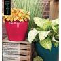 Robert Allen MPT01599 Avery Classic Ironstone Metal Planter Flower Pot, 8 Inch, Autumn Blaze