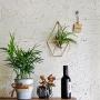 NCYP Rustic Wall Mount Hanging Irregular Pentagon Geometric Metal Tillandsia Air Plants Holder Rack Black Wall Accent Decor (Gold) No Plants