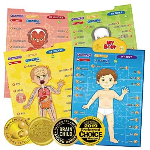 BEST LEARNING i-Poster My Body - Interactive Educational Human Anatomy Talking Game Toy System to Learn Body Parts, Organs, Muscles and Bones for Kids Aged 5 to 12 Years Old