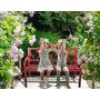 PHI VILLA Outdoor Garden Bench, 50”L Steel Patio Bench for Yard, Lawn, Balcony, Porch, Red Bird Modern Bench with Backrest and Armrest