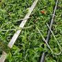 Deep Touch Trampoline Stakes Trampoline Anchors 14Inx 0.354 inch U Anchors U Steaks Trampoline Stakes Anchors Trampoline Anchor Trampoline Accessories U Tent Stakes Ground Anchor U Stakes Heavy Duty
